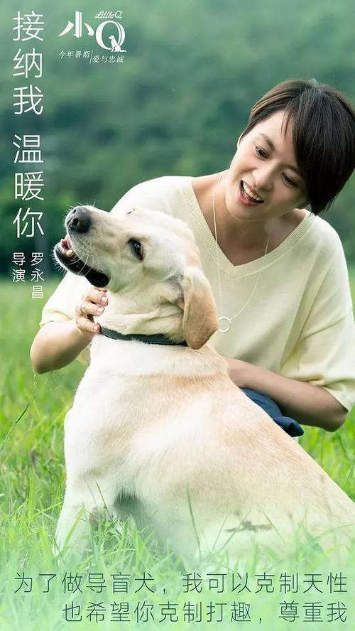 买个假的奥地利KYC认证资料